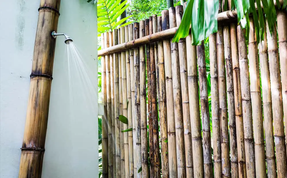 Amazon Jungle klink onhandig Wil je een tuindouche? Dit is wat je erover moet weten - In mijn tuin